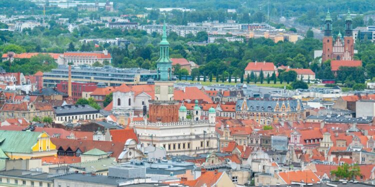 Przyszłość nocnej sprzedaży alkoholu w Poznaniu. Urząd Miasta opublikował raport z konsultacji społecznych
